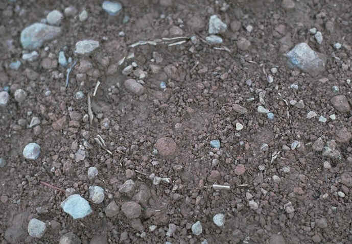 Oeuf de Dinosaure in situ gisement de Roques Hautes , commune de Beaurecueil , Bouches du Rhne , auteur : Ph.Kerourio , reproduction interdite.jpg (109005 octets)