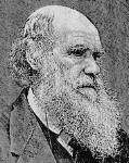 Portrait de Darwin 2.jpg (6403 octets)